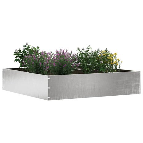 Tuinrand Zilver 60 x 60 x 13 cm Roestvrij staal 3