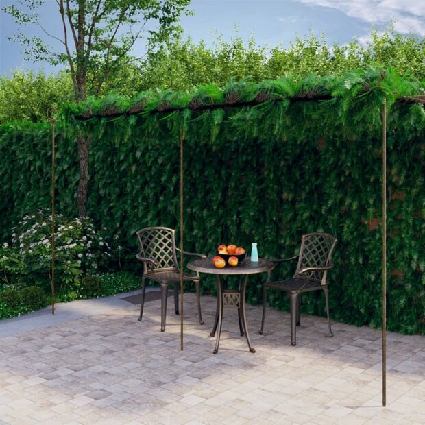 Tuinpergola 6x3x2,5 m ijzer antiekbruin 1