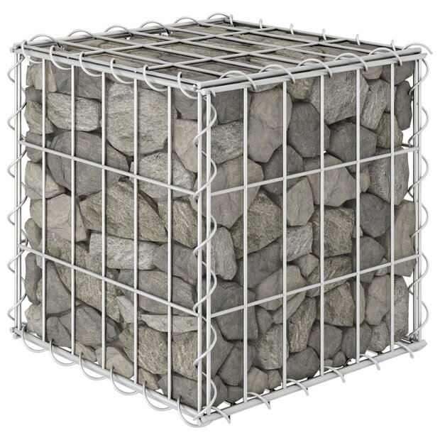 Gabion plantenbak verhoogd kubus 30x30x30 cm staaldraad 1