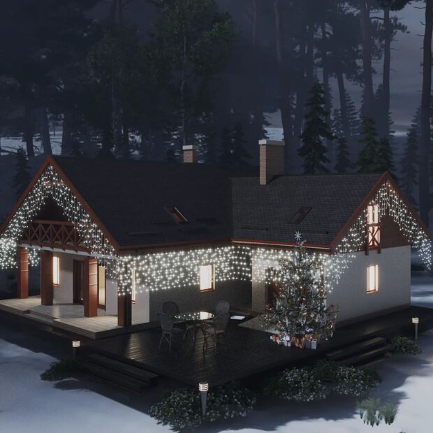 Lichtgordijn met 400 LED&amp;apos;s en 8 functies 10 m koudwit 1