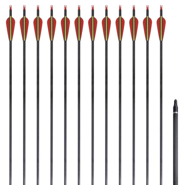 Pijlen voor recurveboog standaard 30&quot; 0,76 cm koolstof 12 stuks 1