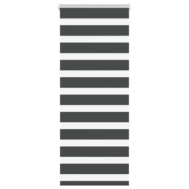 Zebra rolgordijn 55x150 cm stofbreedte 50,9 cm zwart 1