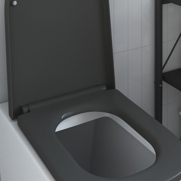 Toiletbril soft-close met quick-release Duroplast antraciet 1
