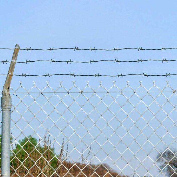 Prikkeldraad Groen 100 m Warmgedipte Gegalvaniseerde Staal 1