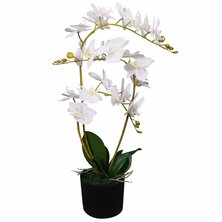 Kunstplant orchidee met pot 65 cm wit