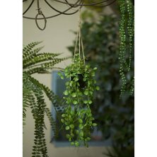 Emerald Kunstplant Hangend In Pot Lantaarnplant 50 Cm 1 ceropegia