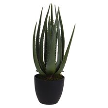 Progarden Kunstplant In Pot Aloe Vera 25X45 Cm Blauw
