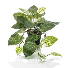Emerald Kunstplant in pot scindapsus struik 55 cm