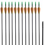 Pijlen voor recurveboog standaard 30" 0,6 cm glasvezel 12 stuks Pijlen voor recurveboog standaard 30" 0,6 cm glasvezel 12 stuks