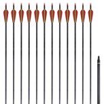 Pijlen voor recurveboog standaard 30" 0,76 cm koolstof 12 stuks Pijlen voor recurveboog standaard 30" 0,76 cm koolstof 12 stuks