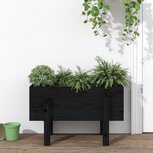 Plantenbak 62x30x38 cm massief grenenhout zwart Plantenbak 62x30x38 cm massief grenenhout zwart