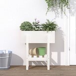Plantenbak 62x30x69 cm massief grenenhout wit Plantenbak 62x30x69 cm massief grenenhout wit