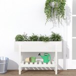 Plantenbak verhoogd 101x30x69 cm massief grenenhout wit Plantenbak verhoogd 101x30x69 cm massief grenenhout wit