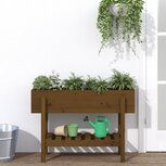 Plantenbak verhoogd 101x30x69 cm massief grenenhout honingbruin Plantenbak verhoogd 101x30x69 cm massief grenenhout honingbruin